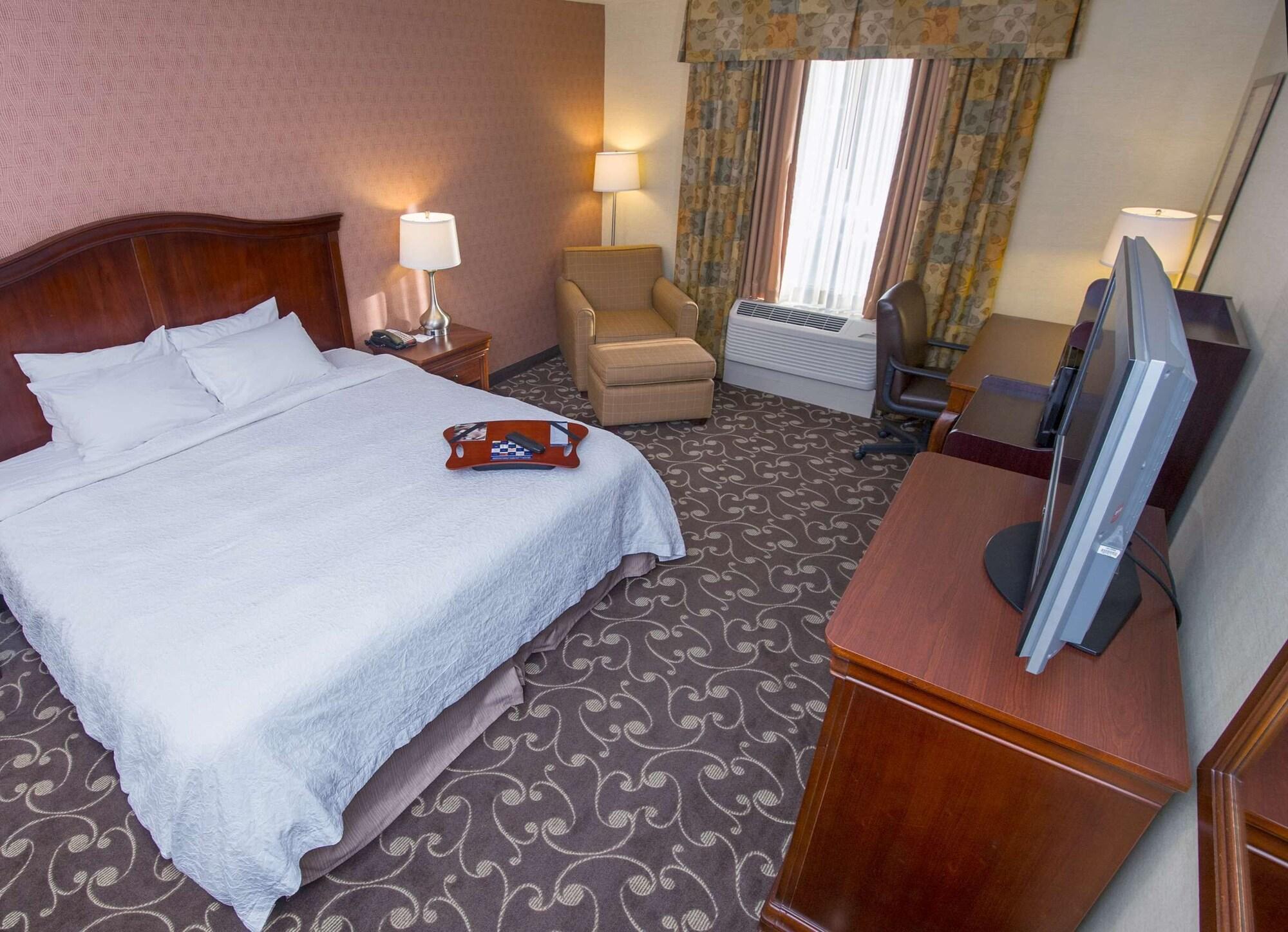 Hotel Hampton By Hilton Brattleboro Zewnętrze zdjęcie